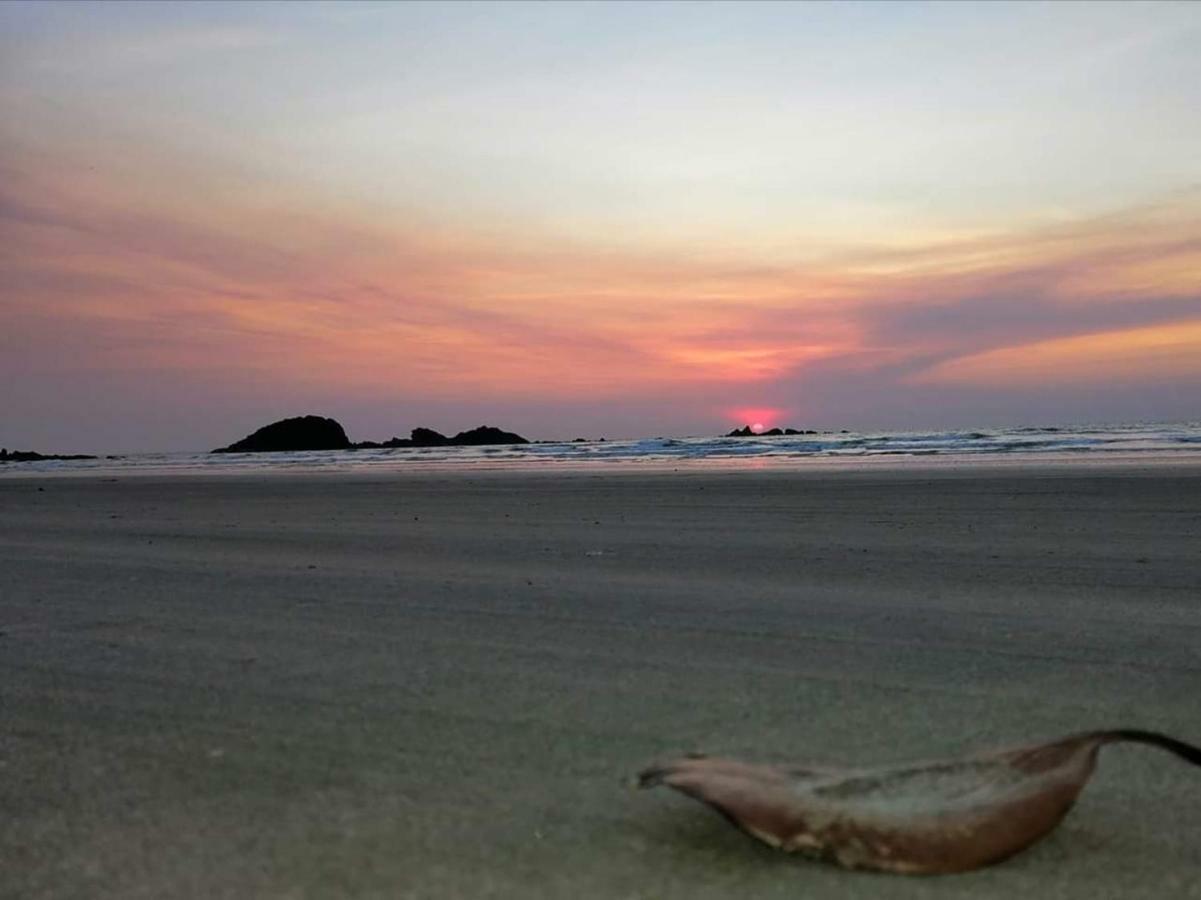 Corniche Beach Resort Mulappilangād エクステリア 写真
